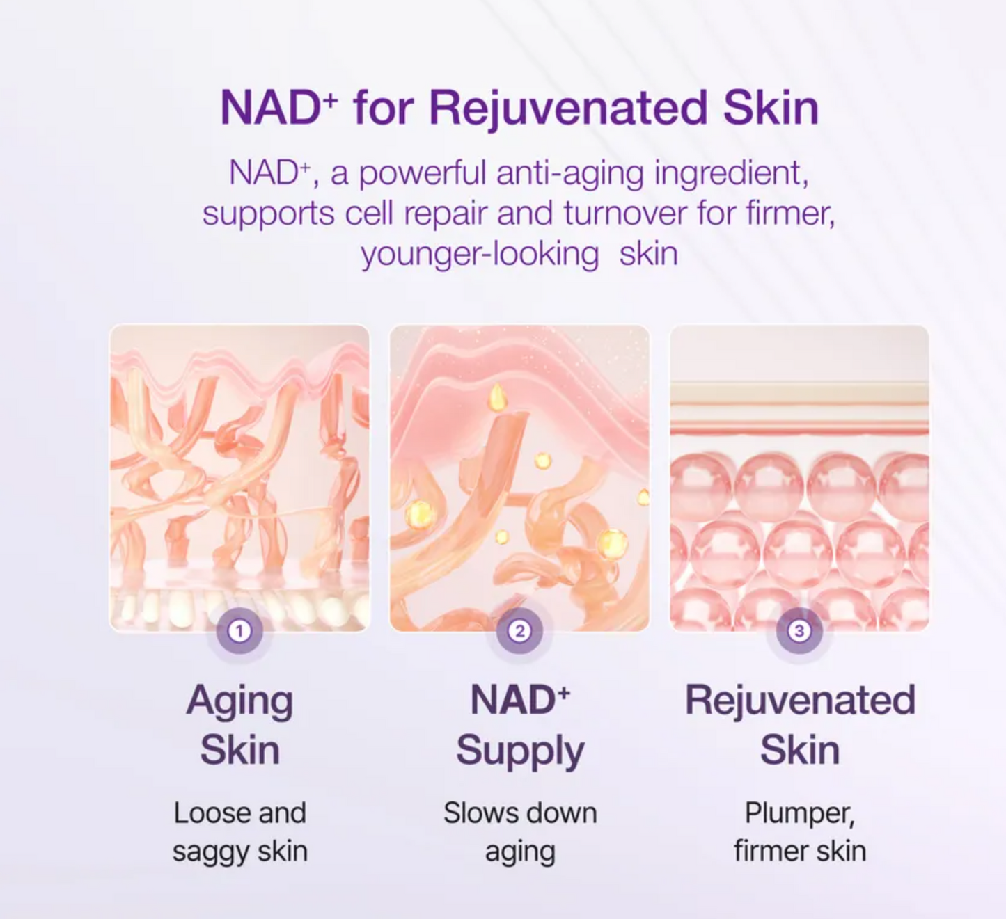 numbuzin - Esencia No.9 NAD Bio Lifting-sil Essence