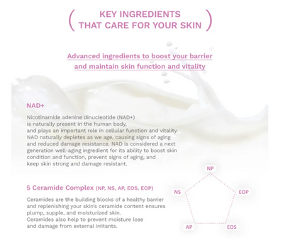 haruharu wonder - Sérum en Spray Black Rice Probiotics Barrier 2% NAD+ Serum Mist